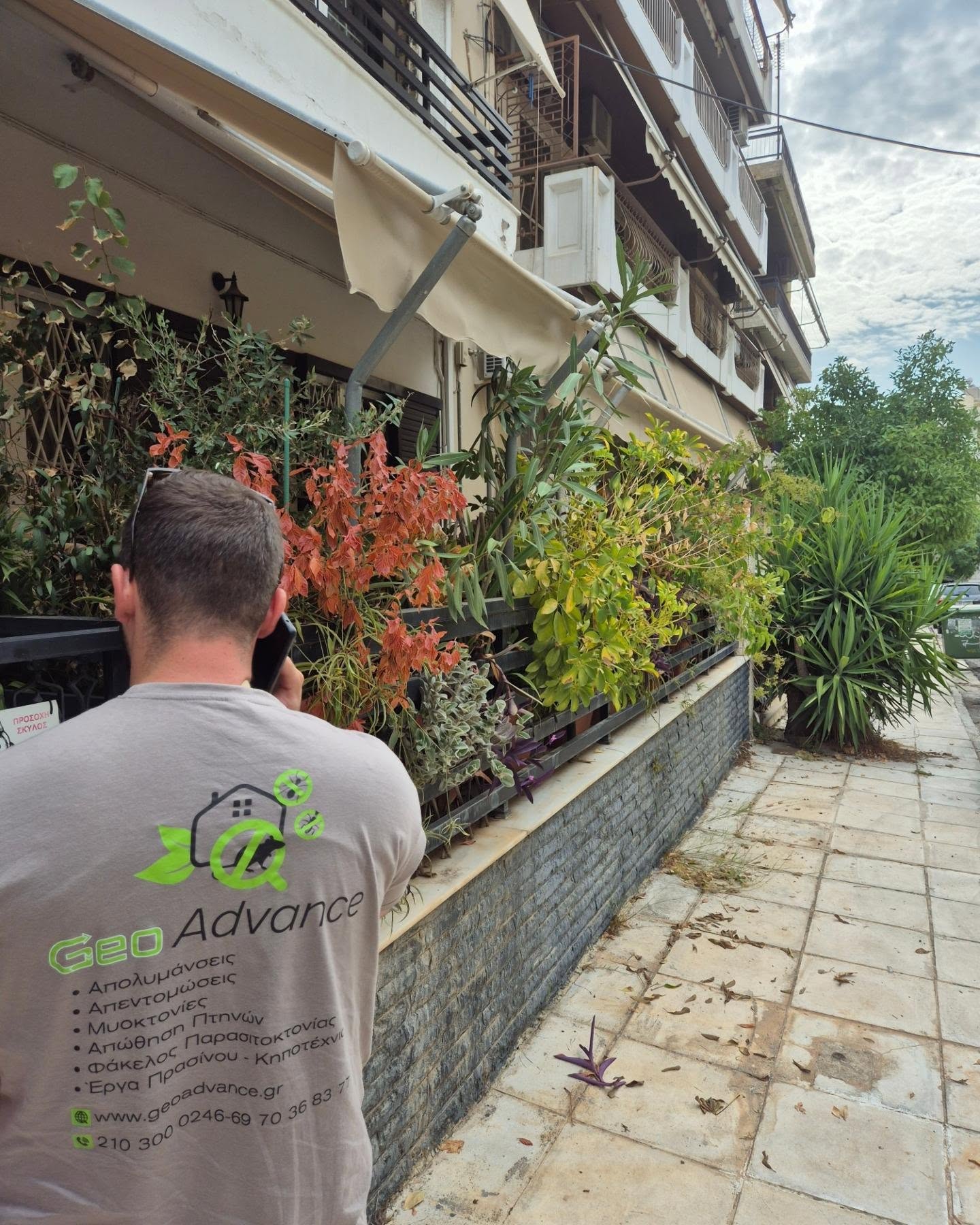 Απολυμάνσεις, Απεντομώσεις, Μυοκτονίες Κερατσίνι