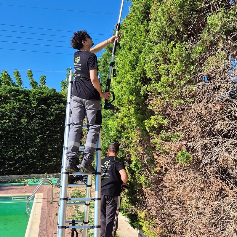 Απολυμάνσεις Νίκαια Απεντομώσεις